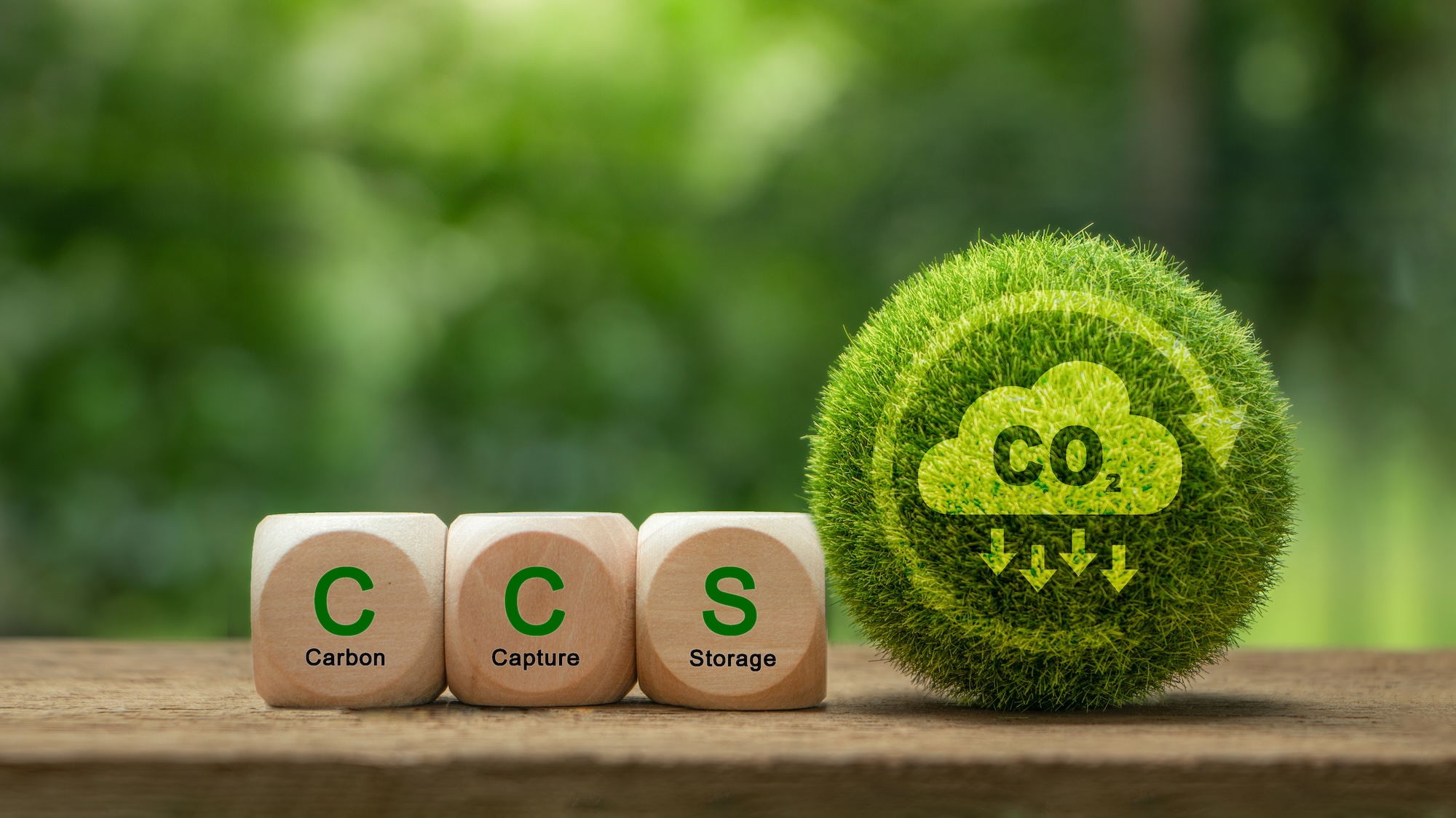 shutterstock 2393420719